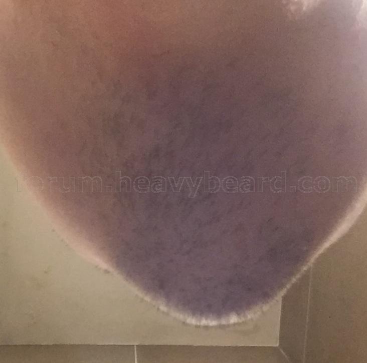 image1 (1).jpeg