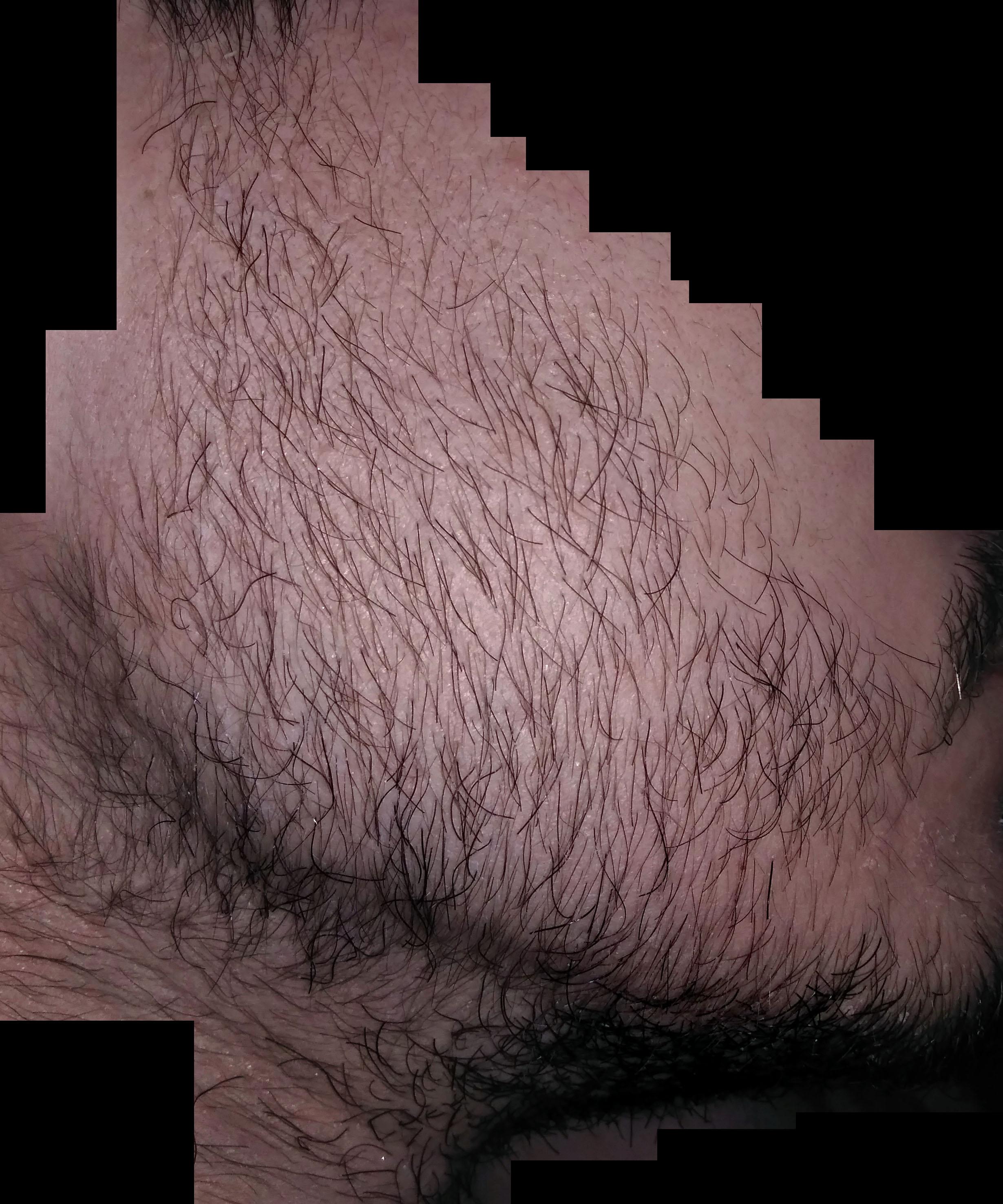 8m.jpg
